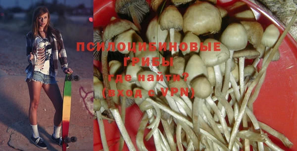 трава Медвежьегорск