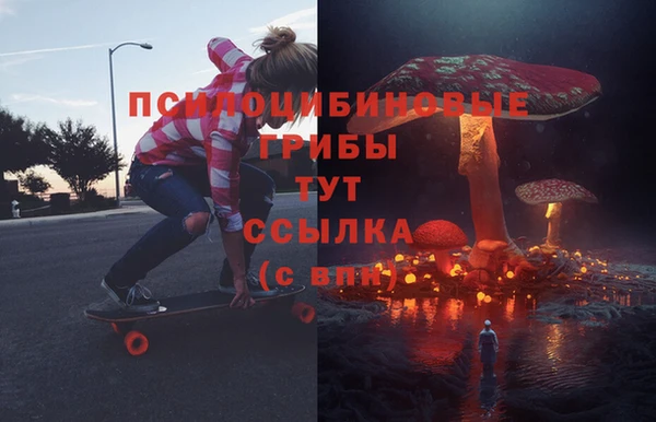 трава Медвежьегорск