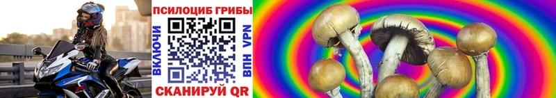 Галлюциногенные грибы MAGIC MUSHROOMS  Облучье 